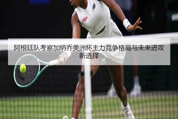 阿根廷队考察加纳乔美洲杯主力竞争格局与未来进攻新选择